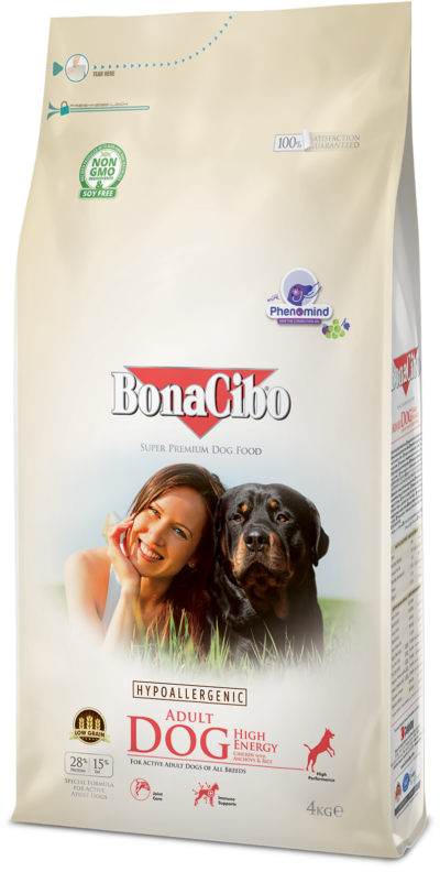 BC_4kg_AdultDog_HE_3