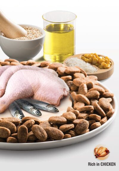 Kucho_Chicken-en